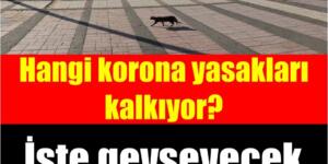 Son dakika… Sokağa çıkma yasağı, restoran-kafe yasağı, yüz yüze eğitim… Yasaklar kalkıyor? Detay