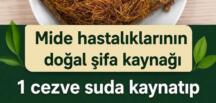Hazımsızlık ve mide asidine iyi geliyor