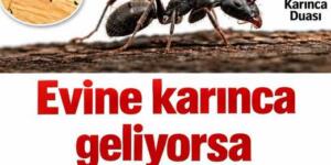 KARINCANIN SESSİZ DUASI: HANENİZE GELEN
