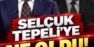 Selçuk Tepeli
